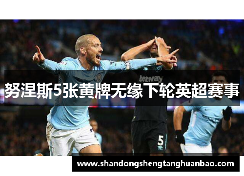 努涅斯5张黄牌无缘下轮英超赛事